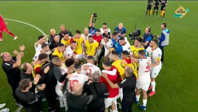 1669914195963023564.jpeg 18.jpeg